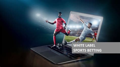 sports betting white label